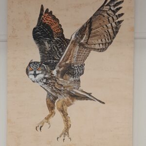 Eurasian Eagle Owl In Flight